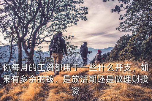 你每月的工資都用于一些什么開支，如果有多余的錢，是放活期還是做理財(cái)投資