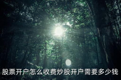 股票開(kāi)戶(hù)多少錢(qián)起,股票開(kāi)戶(hù)怎么收費(fèi)