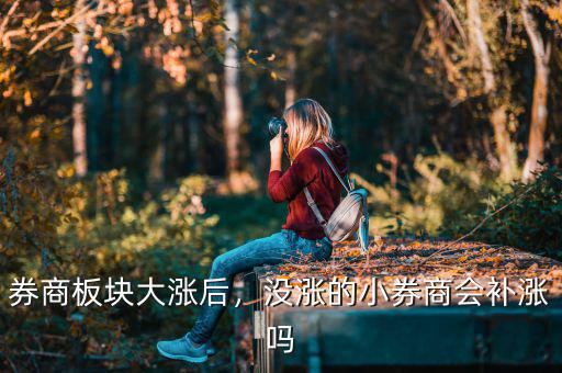 券商板塊大漲后，沒漲的小券商會補漲嗎