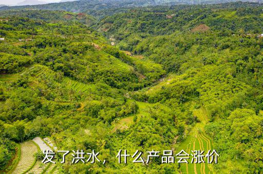 發(fā)了洪水，什么產(chǎn)品會漲價