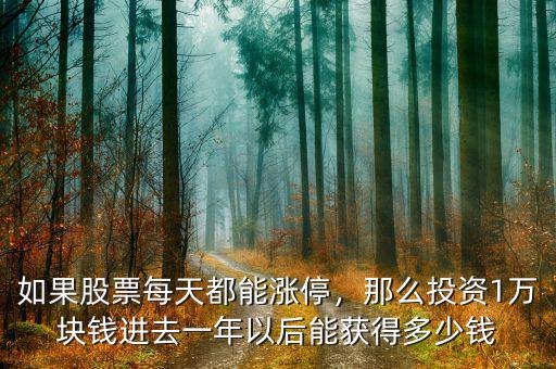 如果股票每天都能漲停，那么投資1萬(wàn)塊錢(qián)進(jìn)去一年以后能獲得多少錢(qián)