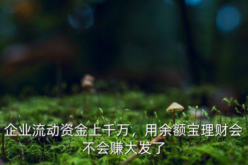 企業(yè)流動資金做什么理財(cái),企業(yè)流動資金上千萬