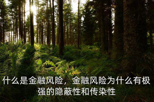 什么是金融風(fēng)險(xiǎn)，金融風(fēng)險(xiǎn)為什么有極強(qiáng)的隱蔽性和傳染性