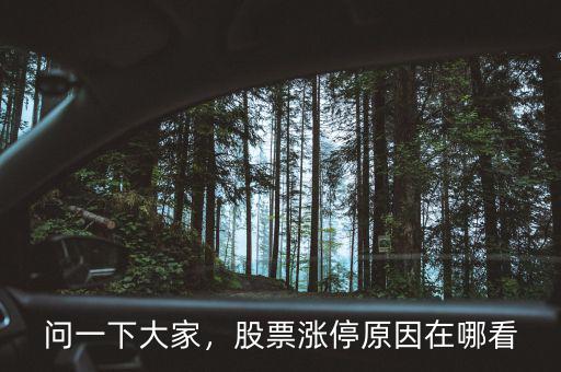 問一下大家，股票漲停原因在哪看