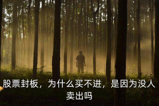 股票封板，為什么買不進(jìn)，是因?yàn)闆]人賣出嗎