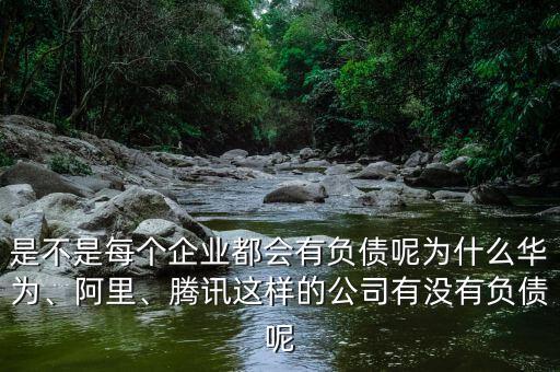 是不是每個(gè)企業(yè)都會(huì)有負(fù)債呢為什么華為、阿里、騰訊這樣的公司有沒(méi)有負(fù)債呢