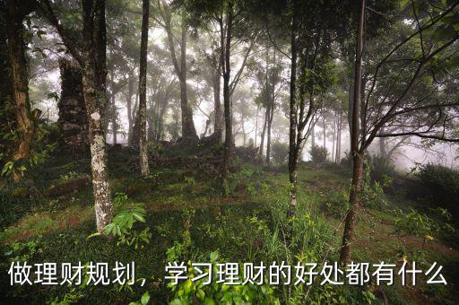 做理財規(guī)劃，學習理財?shù)暮锰幎加惺裁? class=