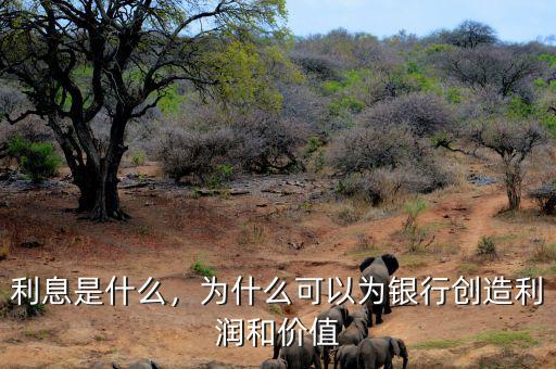 利息是什么，為什么可以為銀行創(chuàng)造利潤和價值