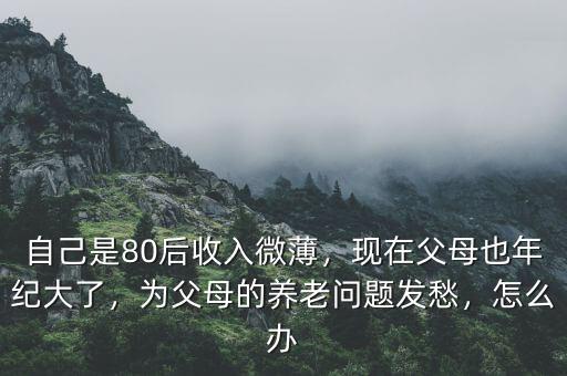 自己是80后收入微薄，現(xiàn)在父母也年紀大了，為父母的養(yǎng)老問題發(fā)愁，怎么辦