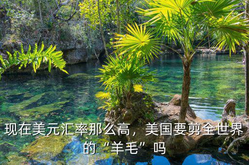 現在美元匯率那么高，美國要剪全世界的“羊毛”嗎