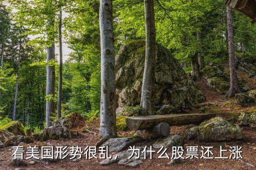 看美國(guó)形勢(shì)很亂，為什么股票還上漲