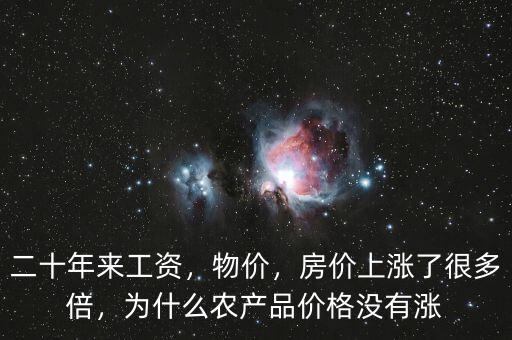 二十年來工資，物價，房價上漲了很多倍，為什么農(nóng)產(chǎn)品價格沒有漲