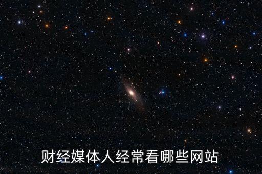 財(cái)經(jīng)媒體人經(jīng)?？茨男┚W(wǎng)站