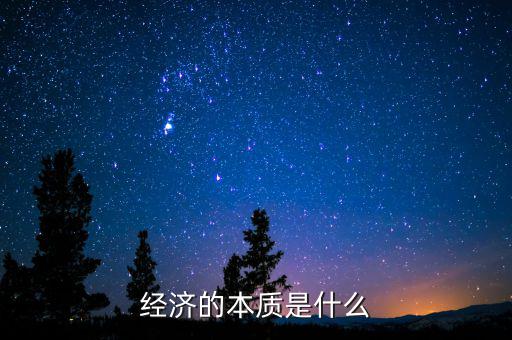 經(jīng)濟的本質是什么