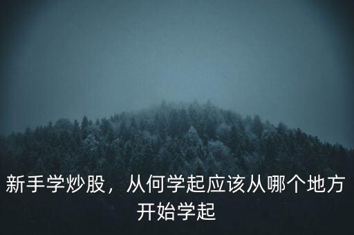 想學炒股應該從什么開始,應該從哪個地方開始學起