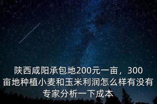 陜西咸陽承包地200元一畝，300畝地種植小麥和玉米利潤怎么樣有沒有專家分析一下成本