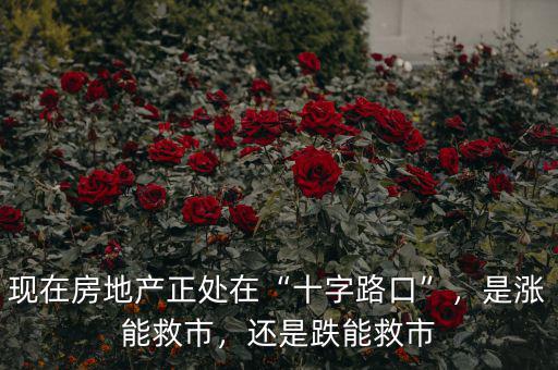 現(xiàn)在房地產(chǎn)正處在“十字路口”，是漲能救市，還是跌能救市