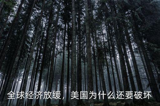 全球經(jīng)濟放緩，美國為什么還要破壞
