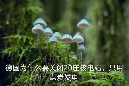 德國為什么要關(guān)閉20座核電站，只用煤炭發(fā)電
