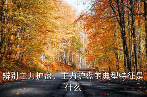 國(guó)家隊(duì)護(hù)盤(pán)是什么意思,為啥國(guó)家隊(duì)護(hù)盤(pán)最?lèi)?ài)買(mǎi)中石油