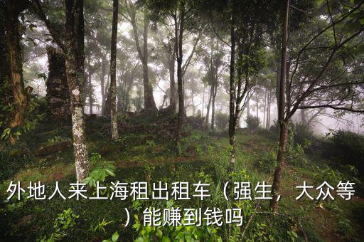 外地人來上海租出租車（強生，大眾等）能賺到錢嗎