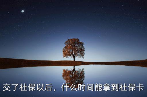 交了社保以后，什么時間能拿到社保卡