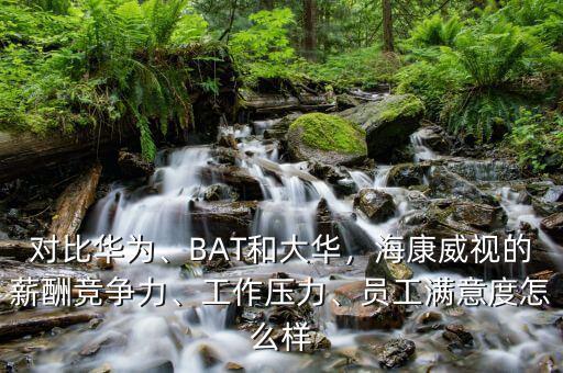 桐廬?？低曉趺礃?員工滿意度怎么樣