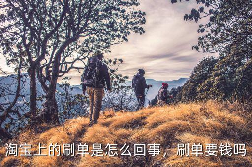 淘寶上的刷單是怎么回事，刷單要錢嗎