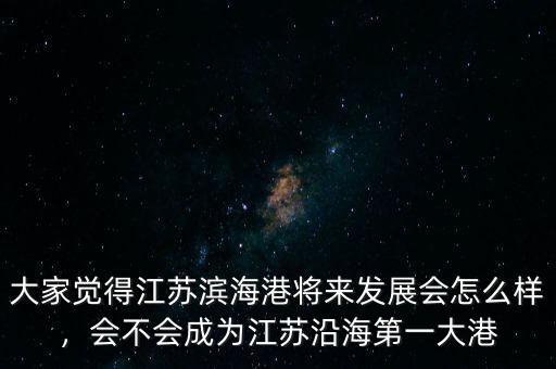 大家覺得江蘇濱海港將來發(fā)展會(huì)怎么樣，會(huì)不會(huì)成為江蘇沿海第一大港