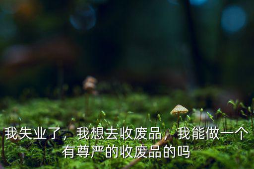 我失業(yè)了，我想去收廢品，我能做一個(gè)有尊嚴(yán)的收廢品的嗎