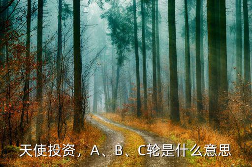 天使投資，A、B、C輪是什么意思