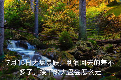 7月16日大盤(pán)暴跌，利潤(rùn)回去的差不多了，接下來(lái)大盤(pán)會(huì)怎么走