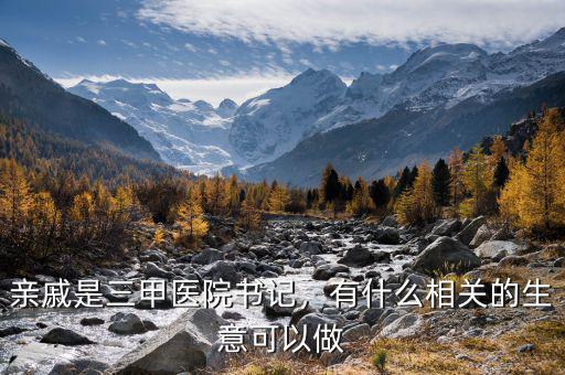 親戚是三甲醫(yī)院書記，有什么相關(guān)的生意可以做