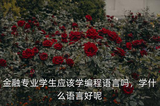 金融專業(yè)學(xué)生應(yīng)該學(xué)編程語言嗎，學(xué)什么語言好呢