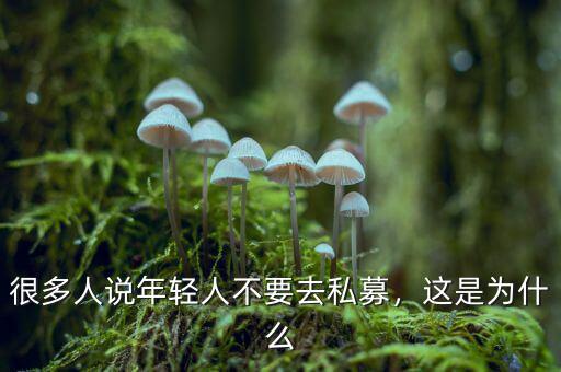 很多人說(shuō)年輕人不要去私募，這是為什么