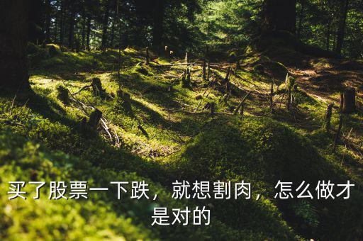 買了股票一下跌，就想割肉，怎么做才是對的
