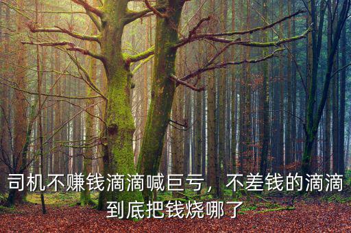 司機不賺錢滴滴喊巨虧，不差錢的滴滴到底把錢燒哪了