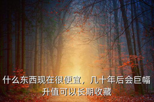 什么東西現(xiàn)在很便宜，幾十年后會(huì)巨幅升值可以長期收藏