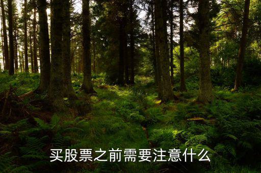 買(mǎi)st股票要注意什么,買(mǎi)股票之前需要注意什么