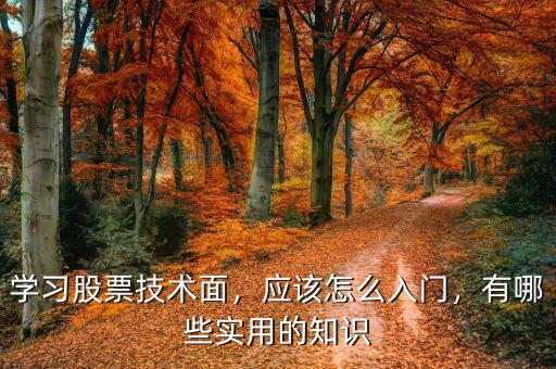 學(xué)習(xí)股票技術(shù)面，應(yīng)該怎么入門，有哪些實用的知識