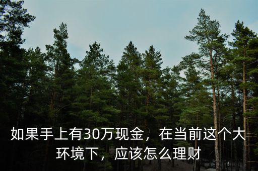 如果手上有30萬現(xiàn)金，在當前這個大環(huán)境下，應該怎么理財