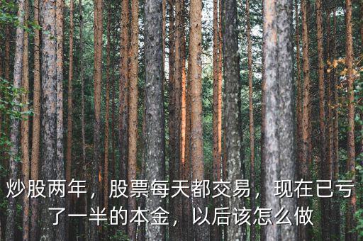 炒股兩年，股票每天都交易，現(xiàn)在已虧了一半的本金，以后該怎么做