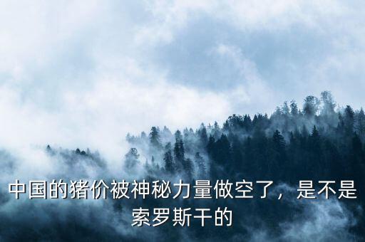 中國(guó)的豬價(jià)被神秘力量做空了，是不是索羅斯干的