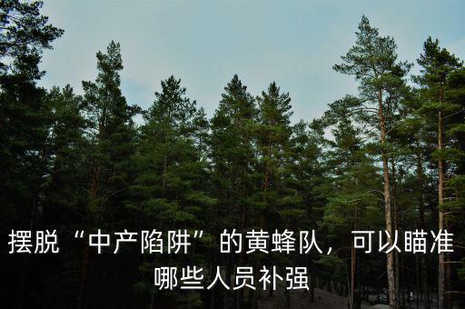擺脫“中產(chǎn)陷阱”的黃蜂隊，可以瞄準(zhǔn)哪些人員補強