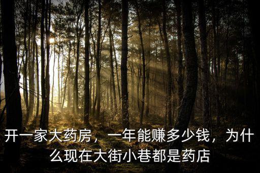 開一家大藥房，一年能賺多少錢，為什么現(xiàn)在大街小巷都是藥店