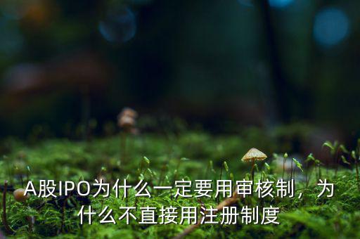A股IPO為什么一定要用審核制，為什么不直接用注冊(cè)制度
