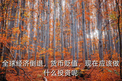 全球經(jīng)濟(jì)倒退，貨幣貶值，現(xiàn)在應(yīng)該做什么投資呢