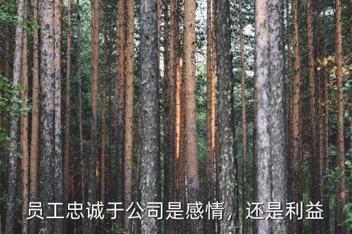 員工忠誠于公司是感情，還是利益