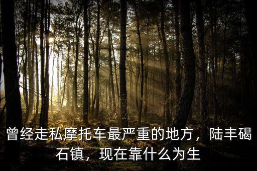 曾經(jīng)走私摩托車最嚴(yán)重的地方，陸豐碣石鎮(zhèn)，現(xiàn)在靠什么為生
