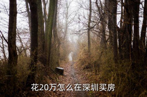 花20萬(wàn)怎么在深圳買(mǎi)房
